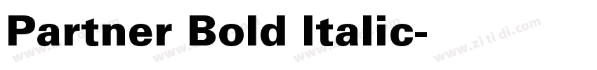 Partner Bold Italic字体转换